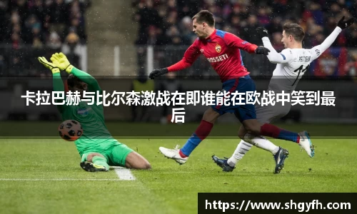 BB贝博艾弗森体育