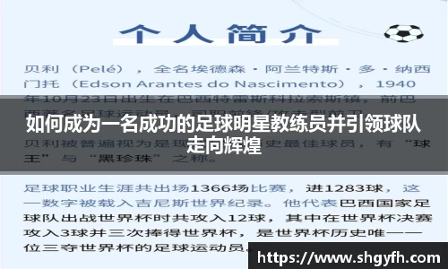 BB贝博艾弗森体育