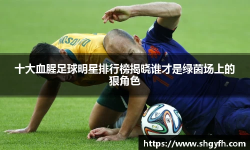 BB贝博艾弗森体育