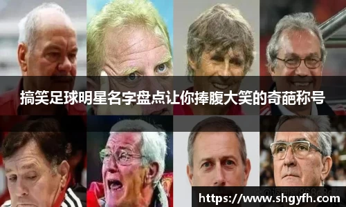 BB贝博艾弗森体育